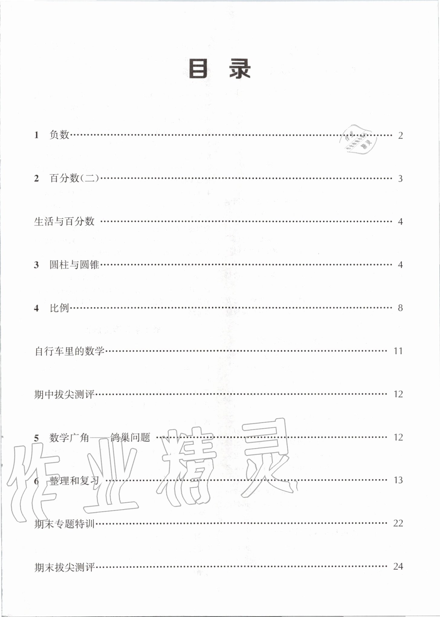 2020年拔尖特训六年级数学下册人教版 第1页