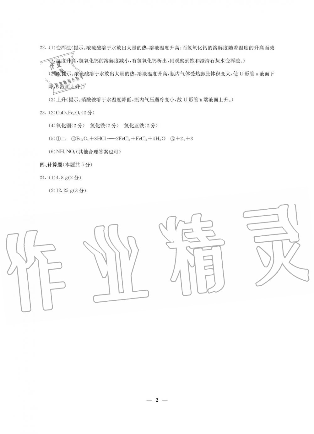 2020年初中總復(fù)習(xí)模擬考試檢測卷化學(xué) 參考答案第2頁