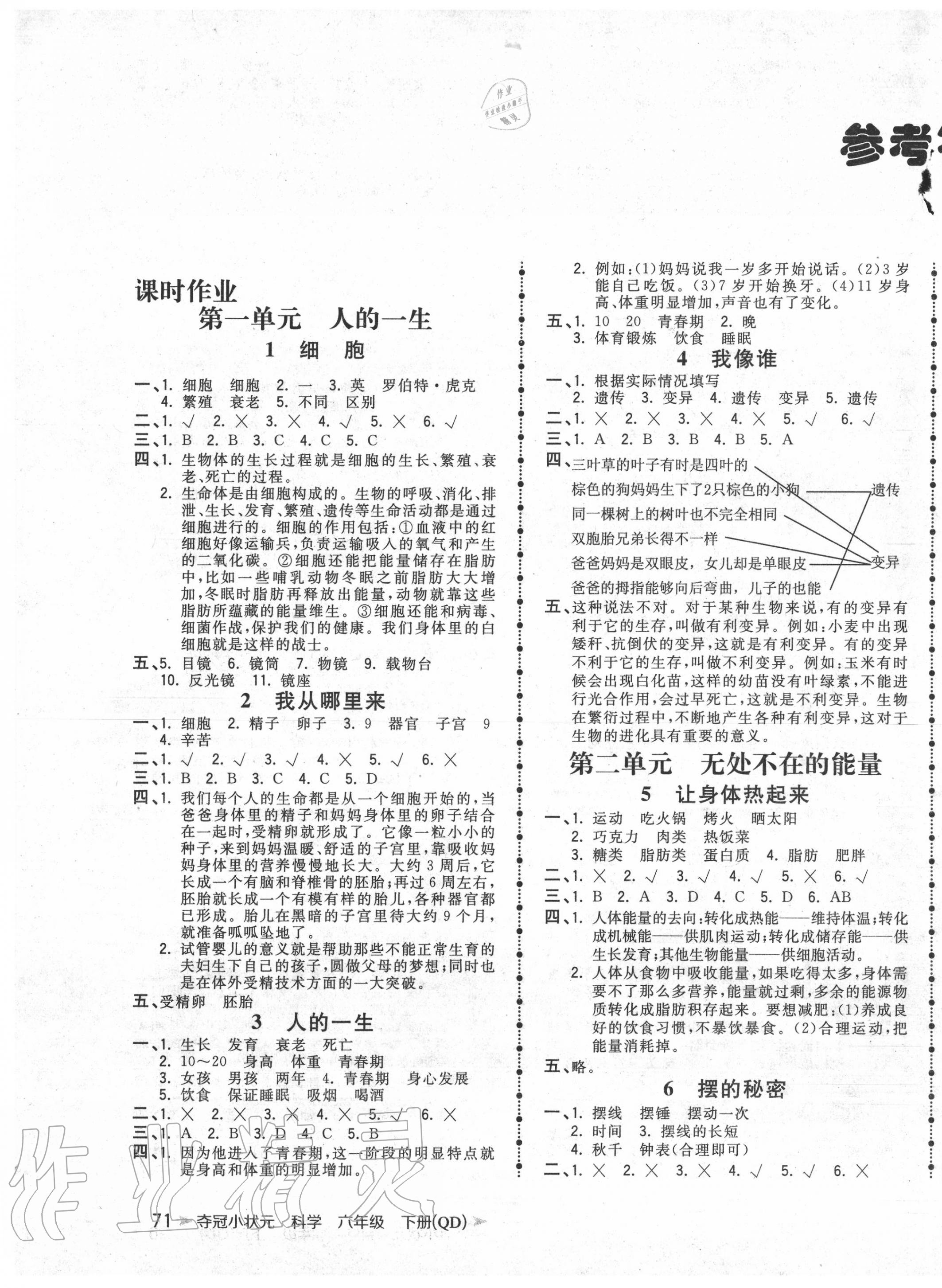 2020年奪冠小狀元課時(shí)作業(yè)本六年級(jí)科學(xué)下冊(cè)青島版 第1頁(yè)