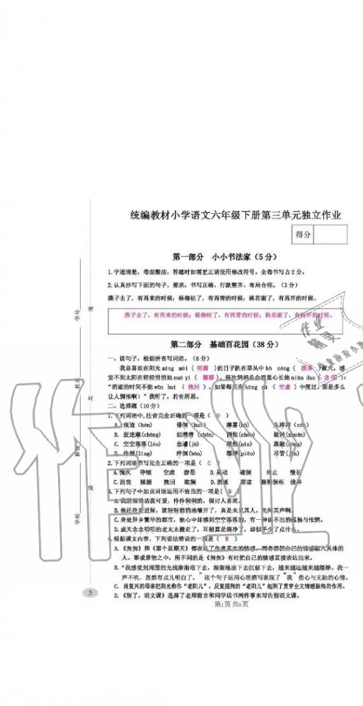 2020年綜合素質(zhì)測評卷六年級語文下冊人教版 第13頁