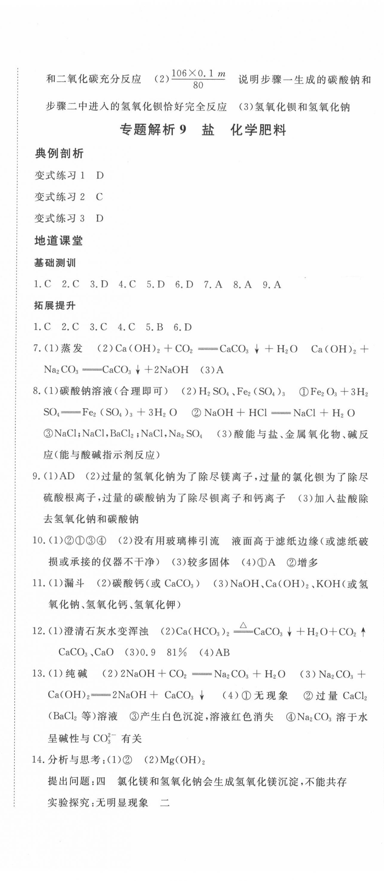 2020年地道中考貴陽(yáng)中考總復(fù)習(xí)化學(xué) 第8頁(yè)