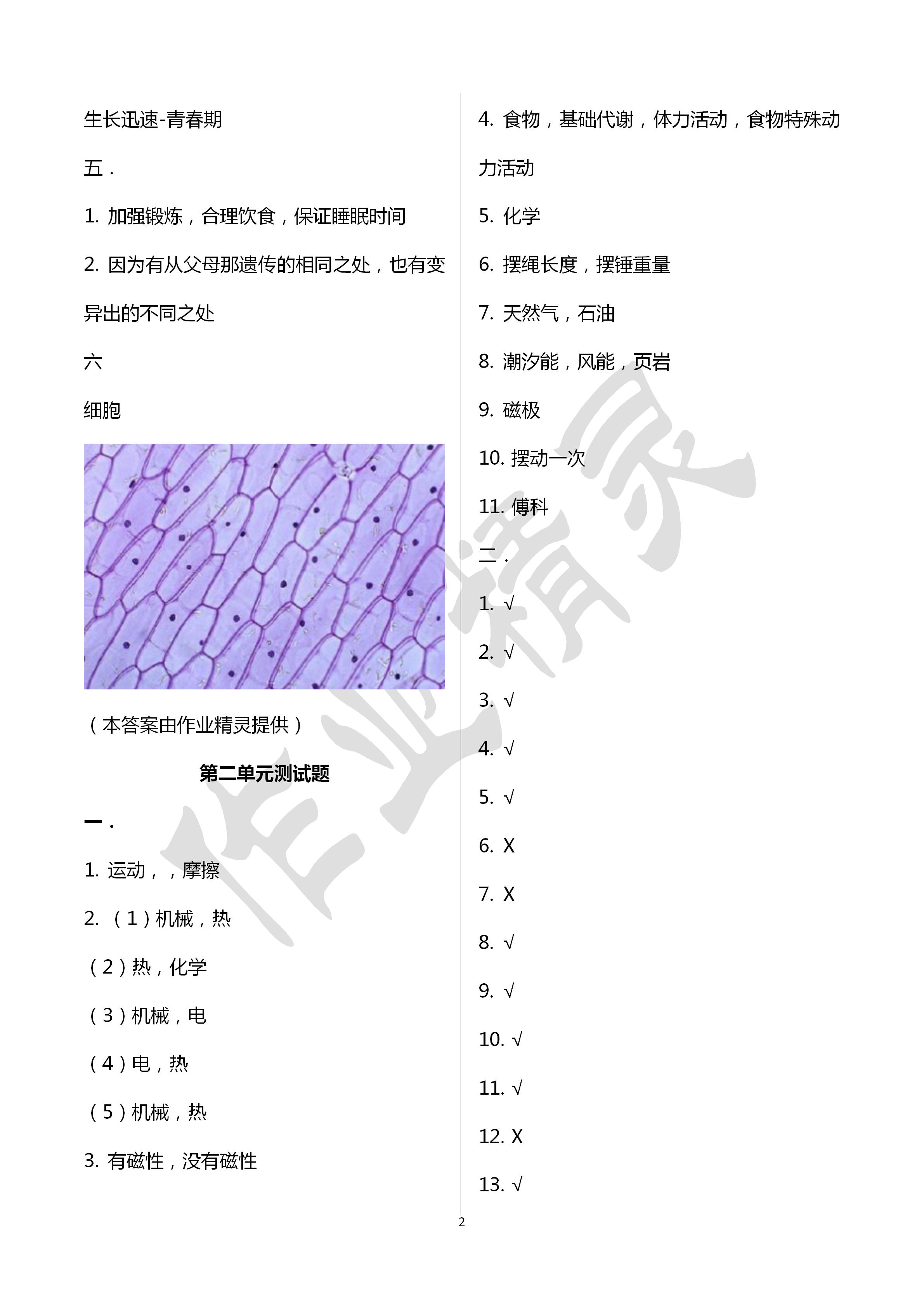 2020年单元检测卷六年级科学、品德与社会下册 第2页