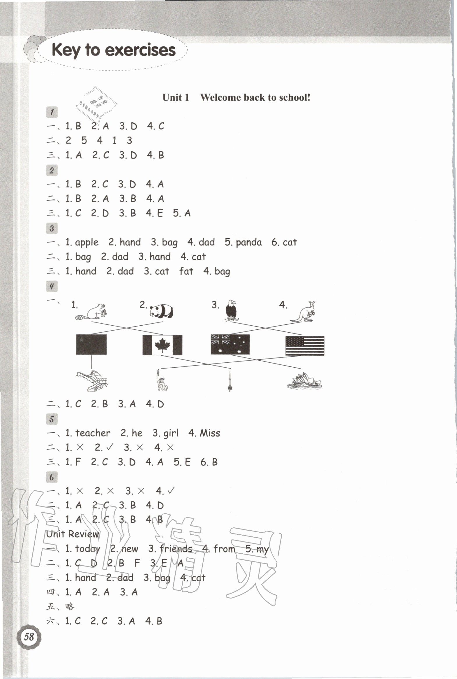 2020年小學英語課時特訓三年級下冊人教版 參考答案第2頁