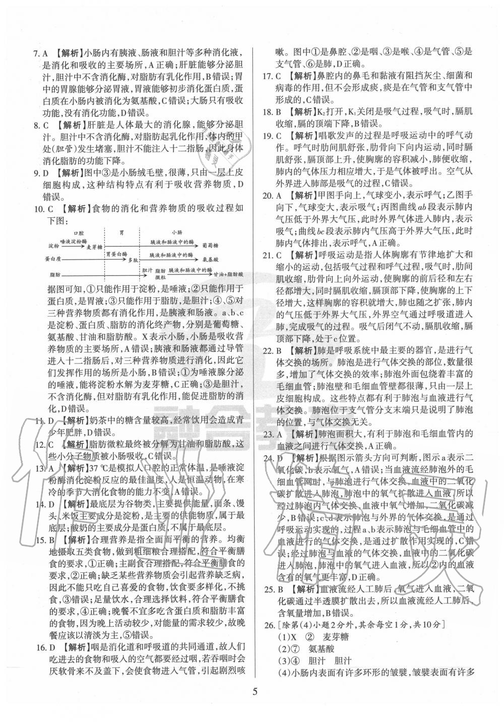 2020年山西名校原創(chuàng)必刷卷七年級(jí)生物下冊(cè)人教版 第5頁(yè)