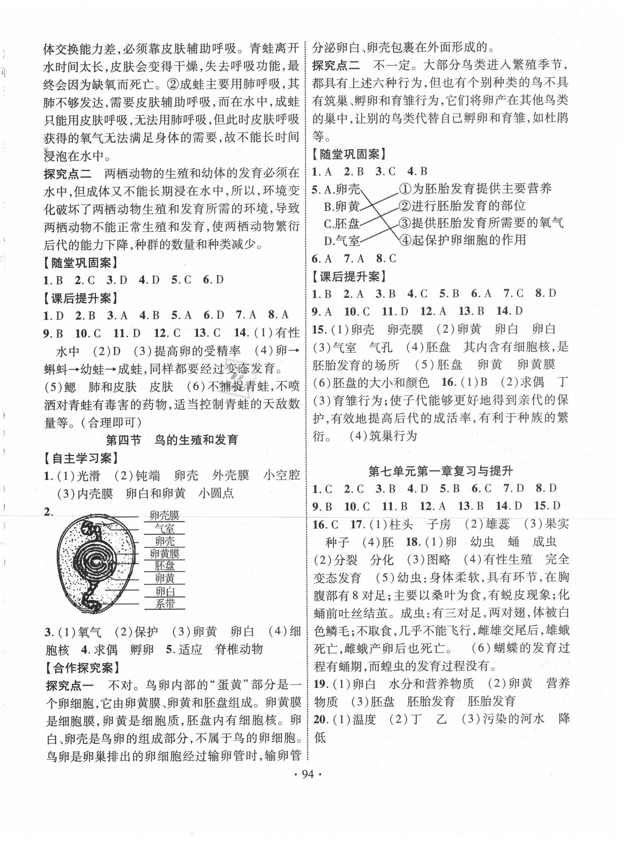 2020年課堂導(dǎo)練1加5八年級生物下冊人教版 第2頁