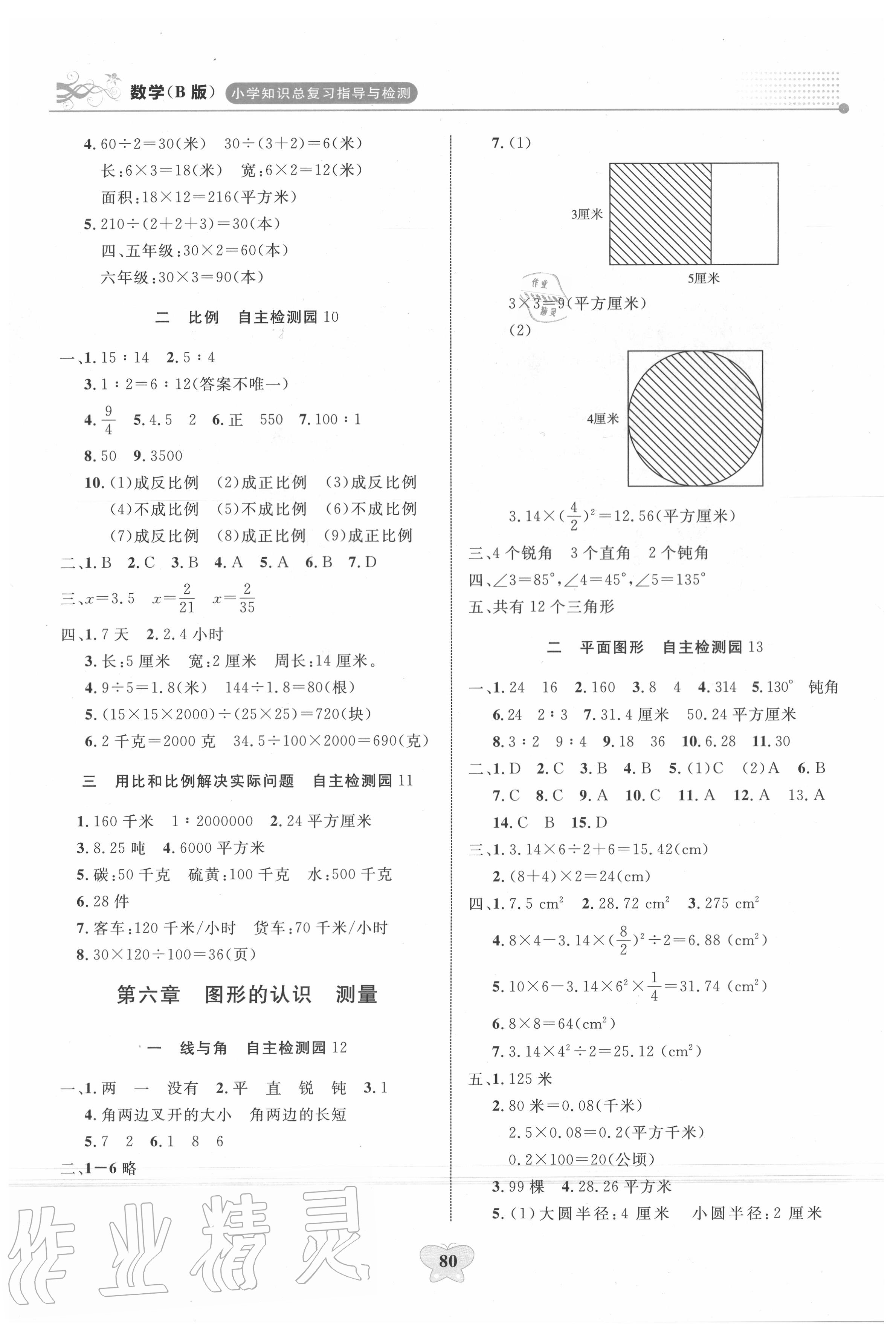 2020年小學知識總復(fù)習指導(dǎo)與檢測數(shù)學B版 第4頁