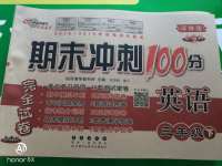 2020年期末沖刺100分完全試卷三年級英語下冊譯林版