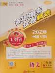 2020年王朝霞各地期末試卷精選三年級(jí)語文下冊(cè)人教版河南