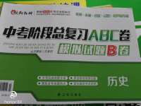 2020年中考阶段总复习ABC卷模拟试题B卷历史