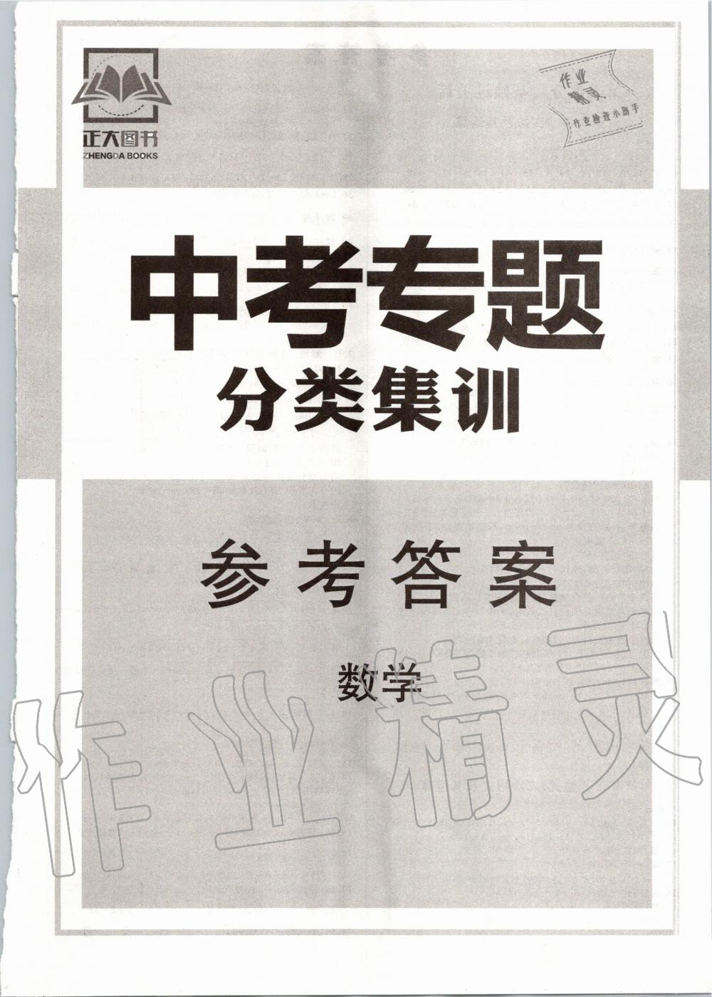 2020年中考專題分類集訓(xùn)數(shù)學(xué) 第1頁