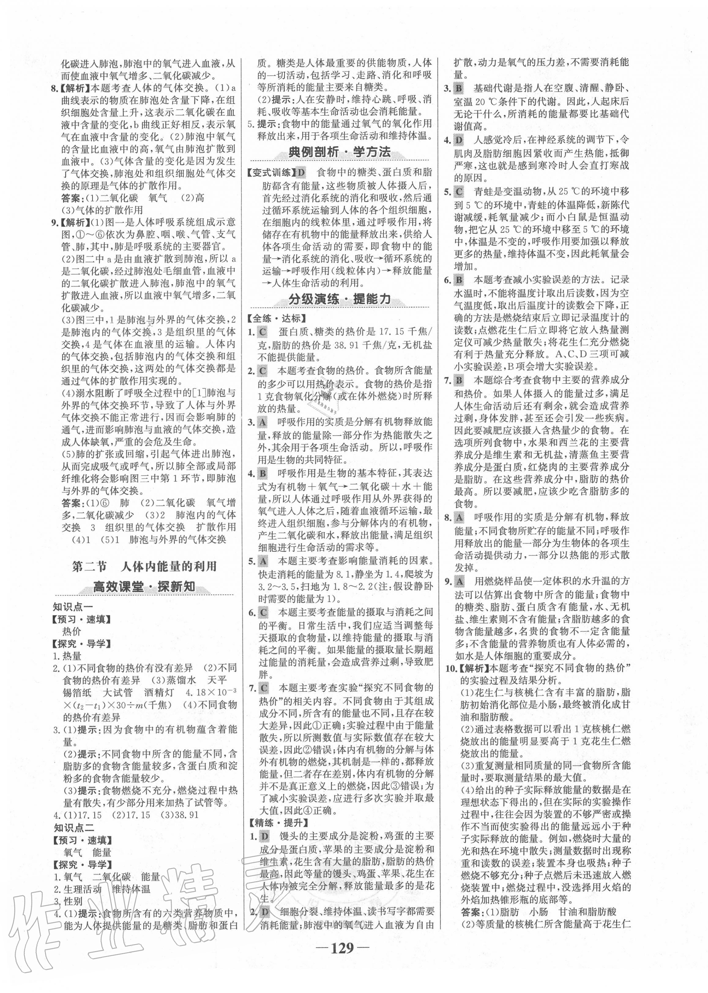 2020年世纪金榜初中金榜学案七年级生物下册济南版 第5页