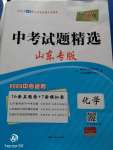 2020年天利38套中考试题精选化学山东专版