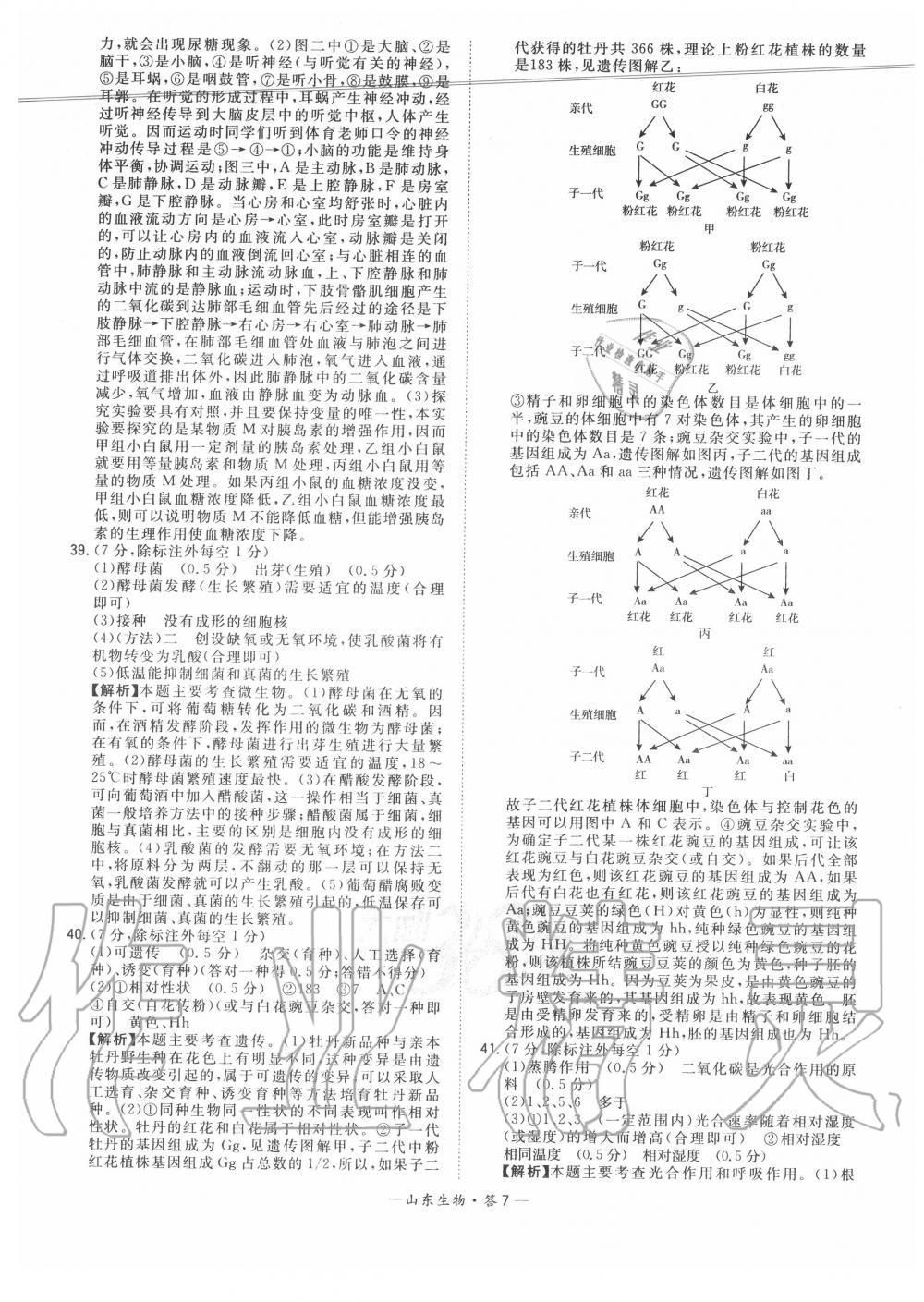 2020年天利38套中考試題精選生物山東專版 參考答案第7頁(yè)