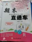 2020年期末直通車二年級(jí)語(yǔ)文下冊(cè)人教版