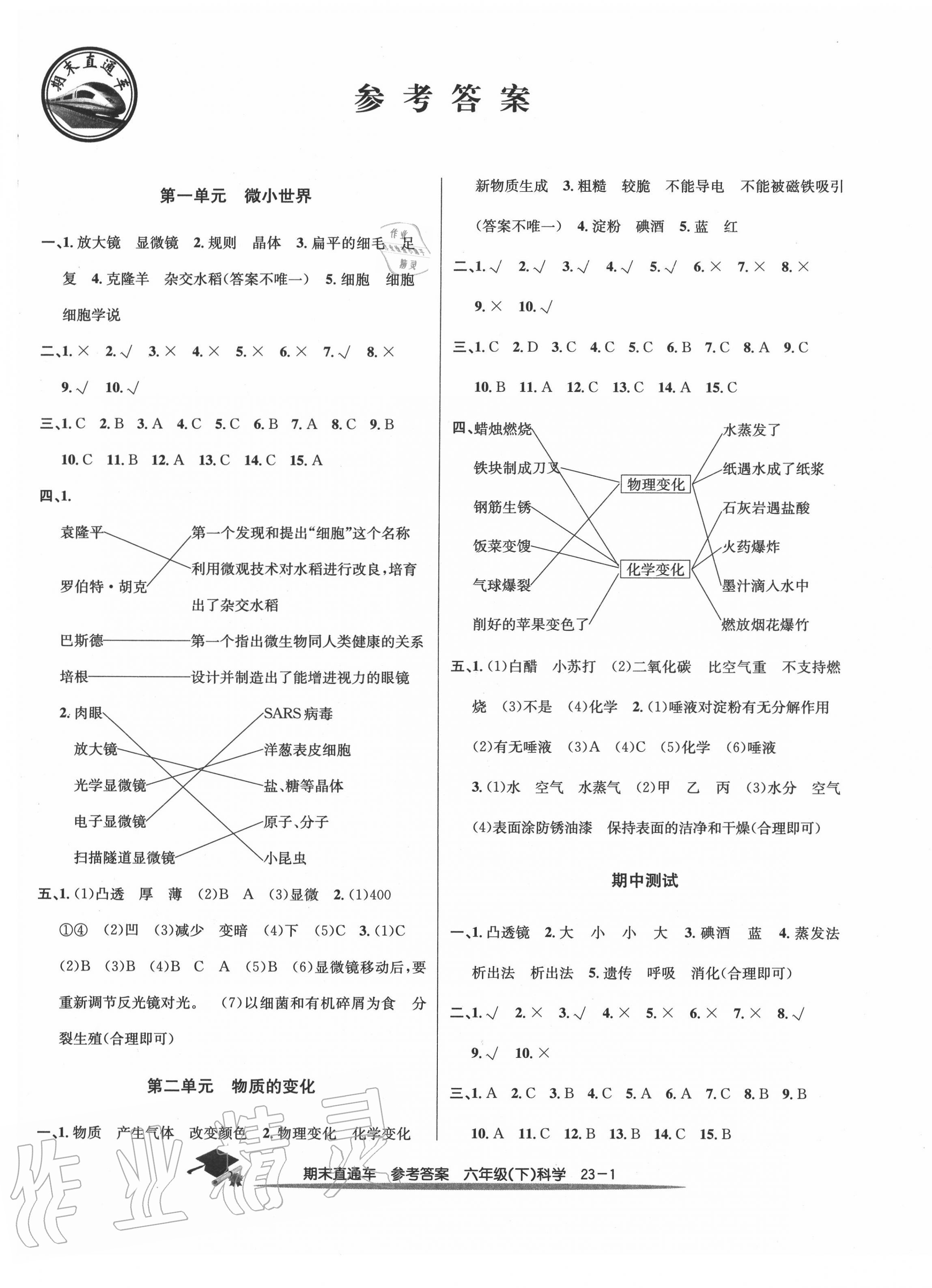 2020年期末直通车六年级科学下册教科版 第1页