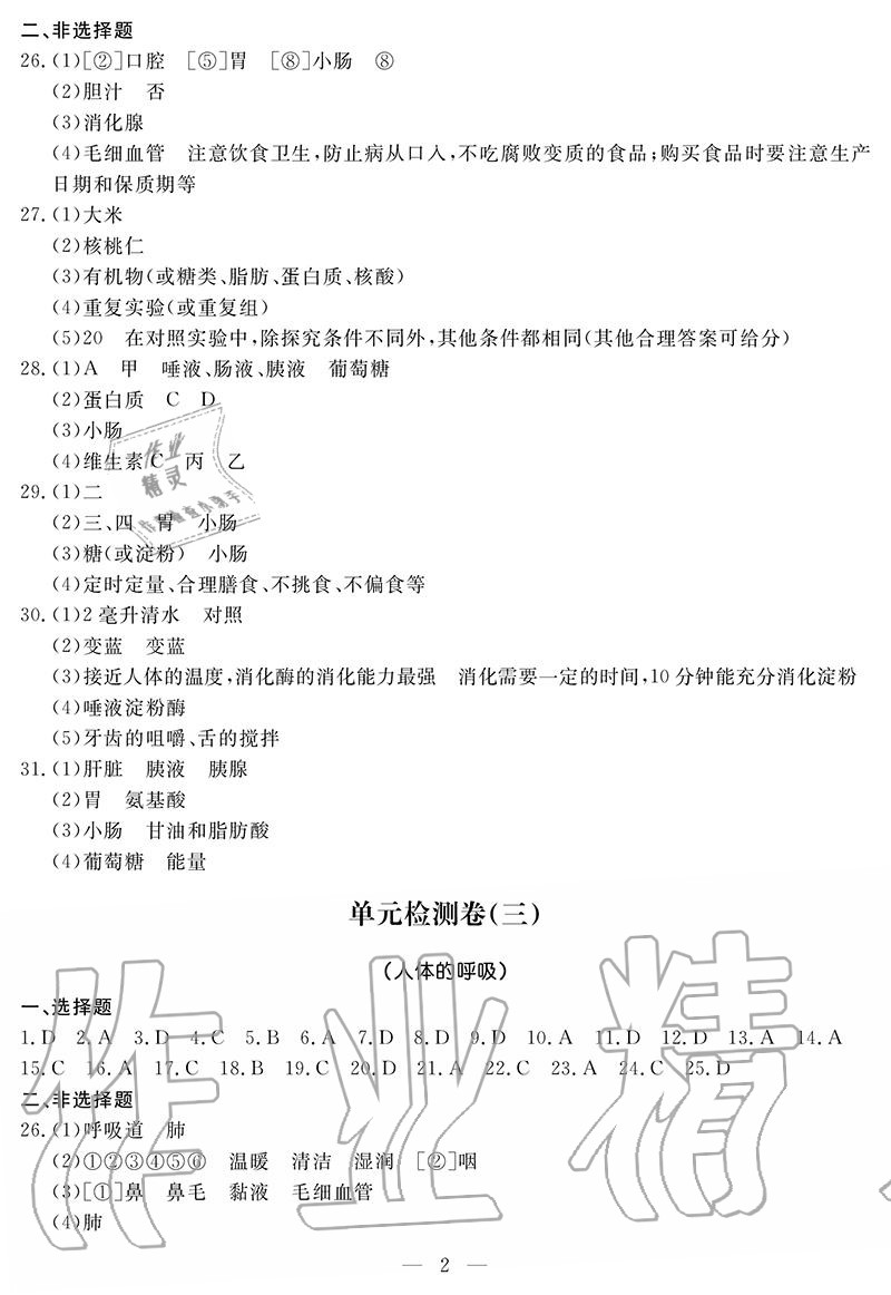 2020年單元檢測(cè)卷七年級(jí)生物下冊(cè)人教版 參考答案第2頁