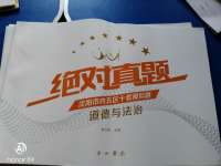 2020年絕對真題道德與法治沈陽專版