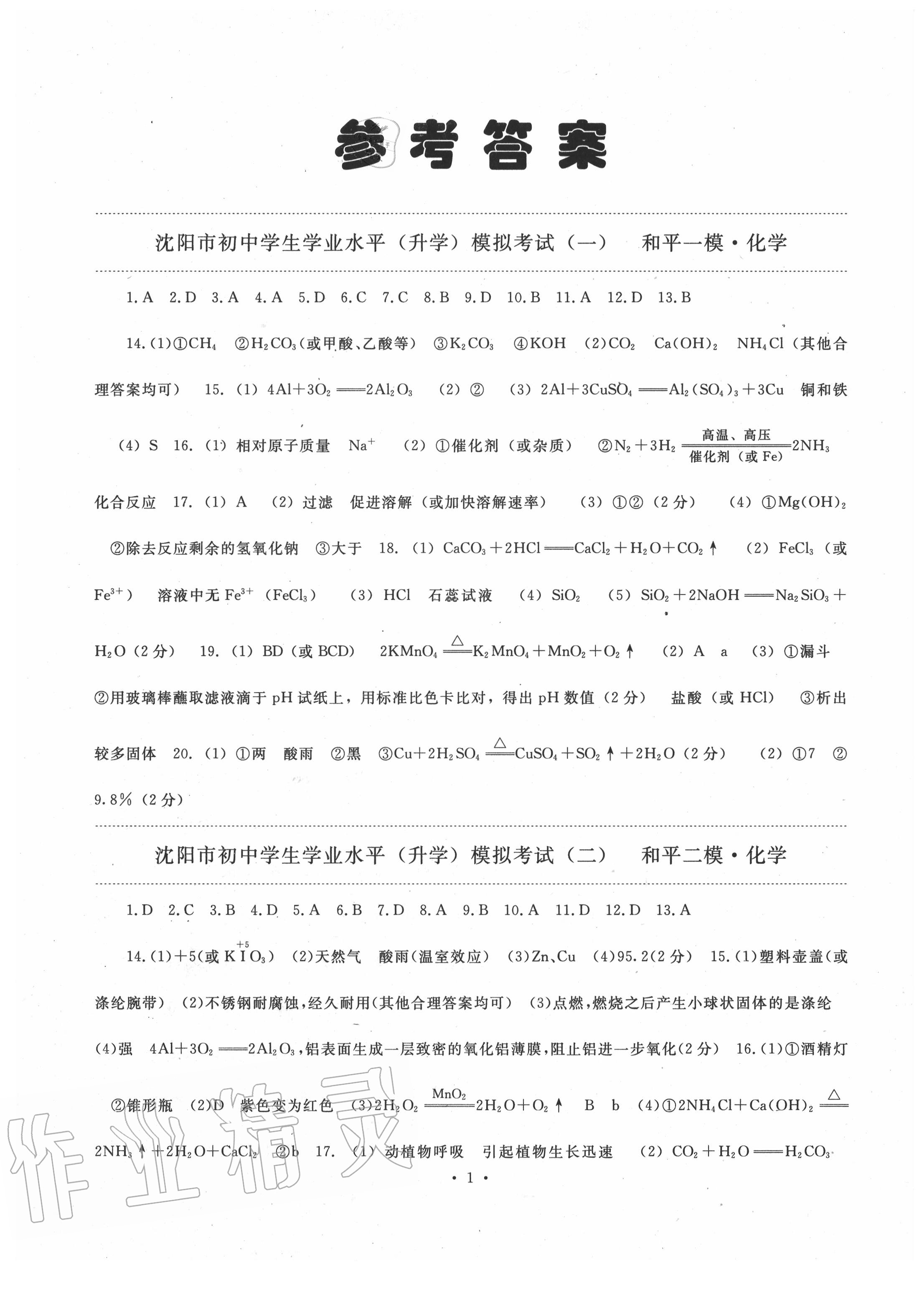 2020年絕對真題化學(xué)沈陽專版 第1頁