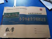 2020年名校真題小學畢業(yè)升學模擬試卷數學