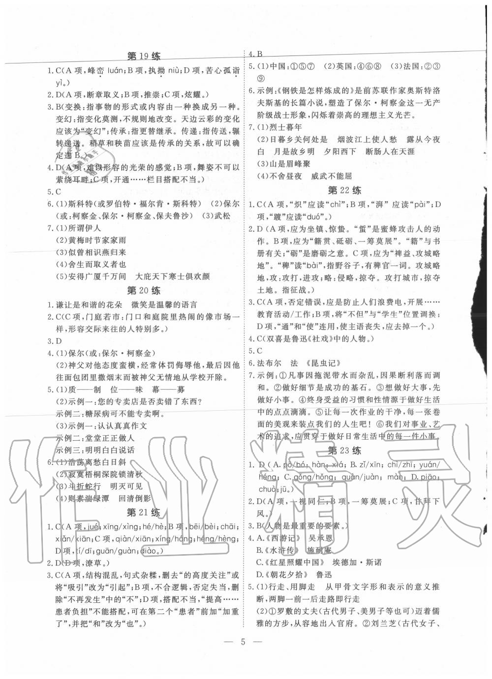 2020年一飛沖天中考語文基礎知識強化訓練 參考答案第5頁