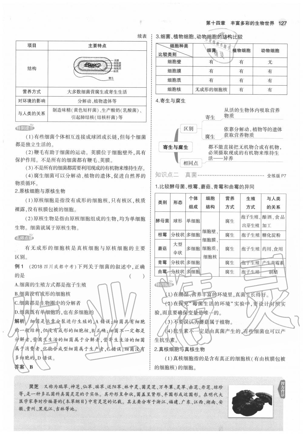 2020年教材課本八年級生物上冊蘇教版 參考答案第9頁