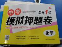 2020年金卷1號中考模擬押題卷化學
