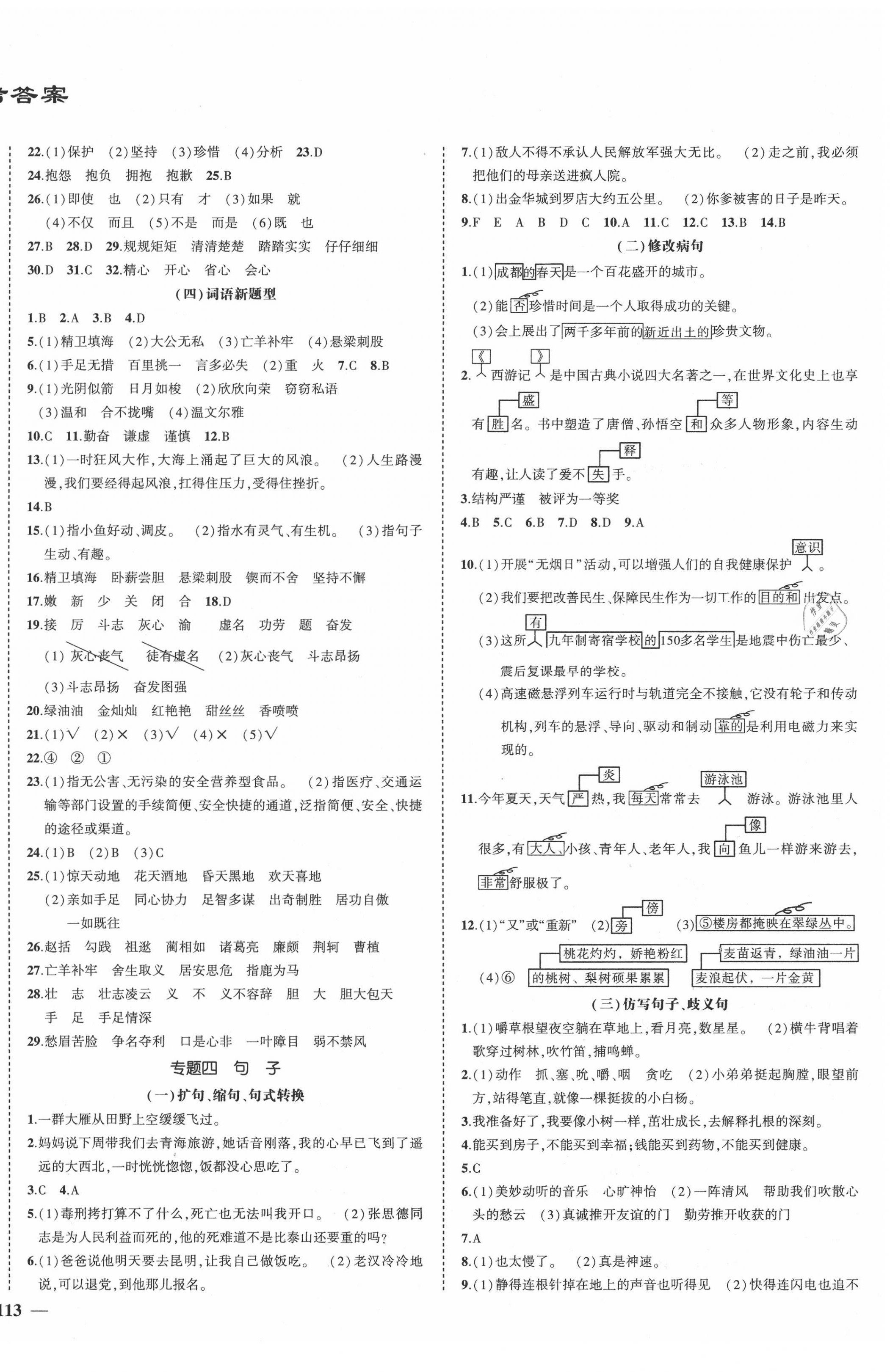 2020年夺分A计划小学毕业升学总复习语文 第2页