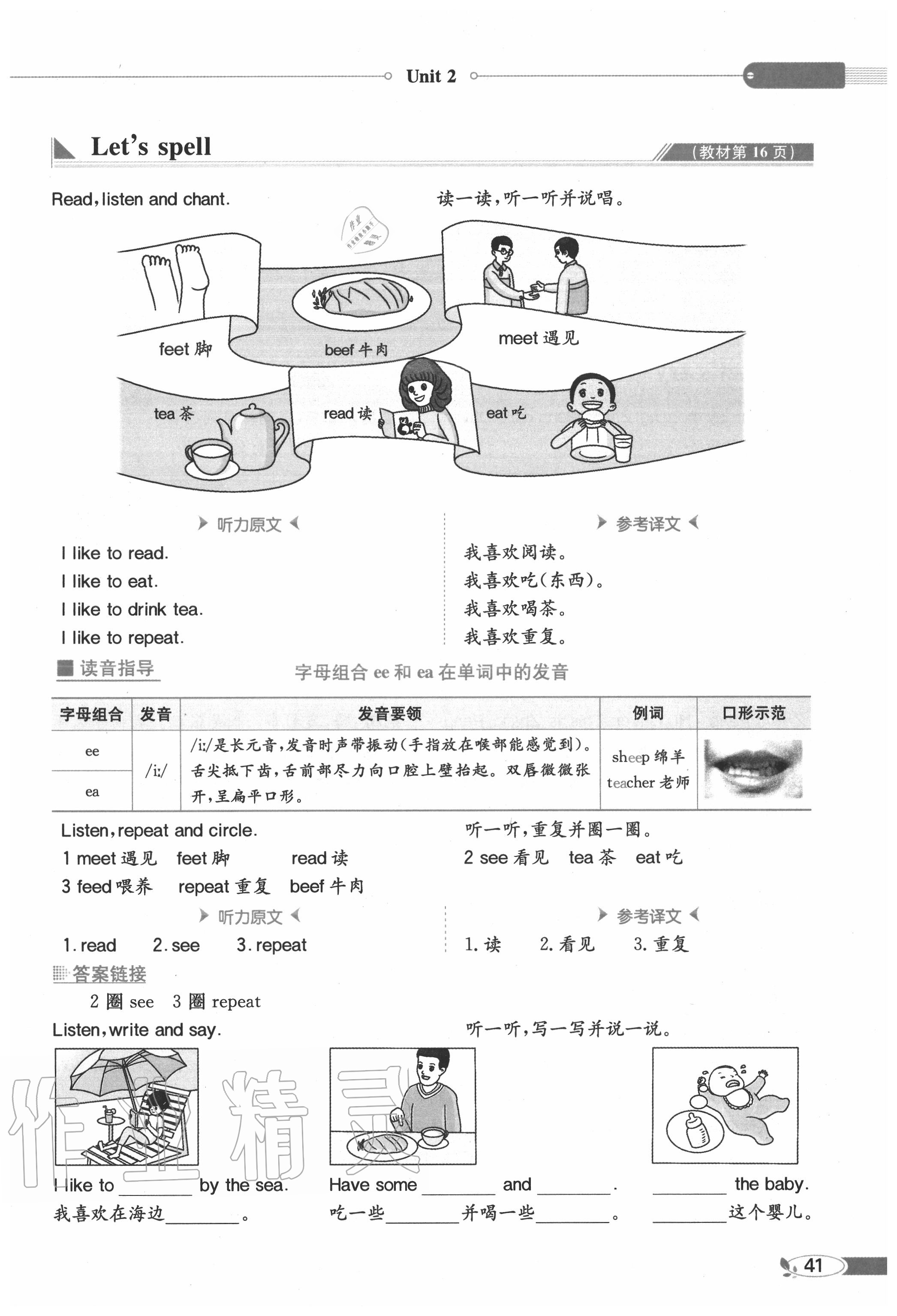 2020年教材課本五年級(jí)英語上冊(cè)人教PEP版 參考答案第41頁