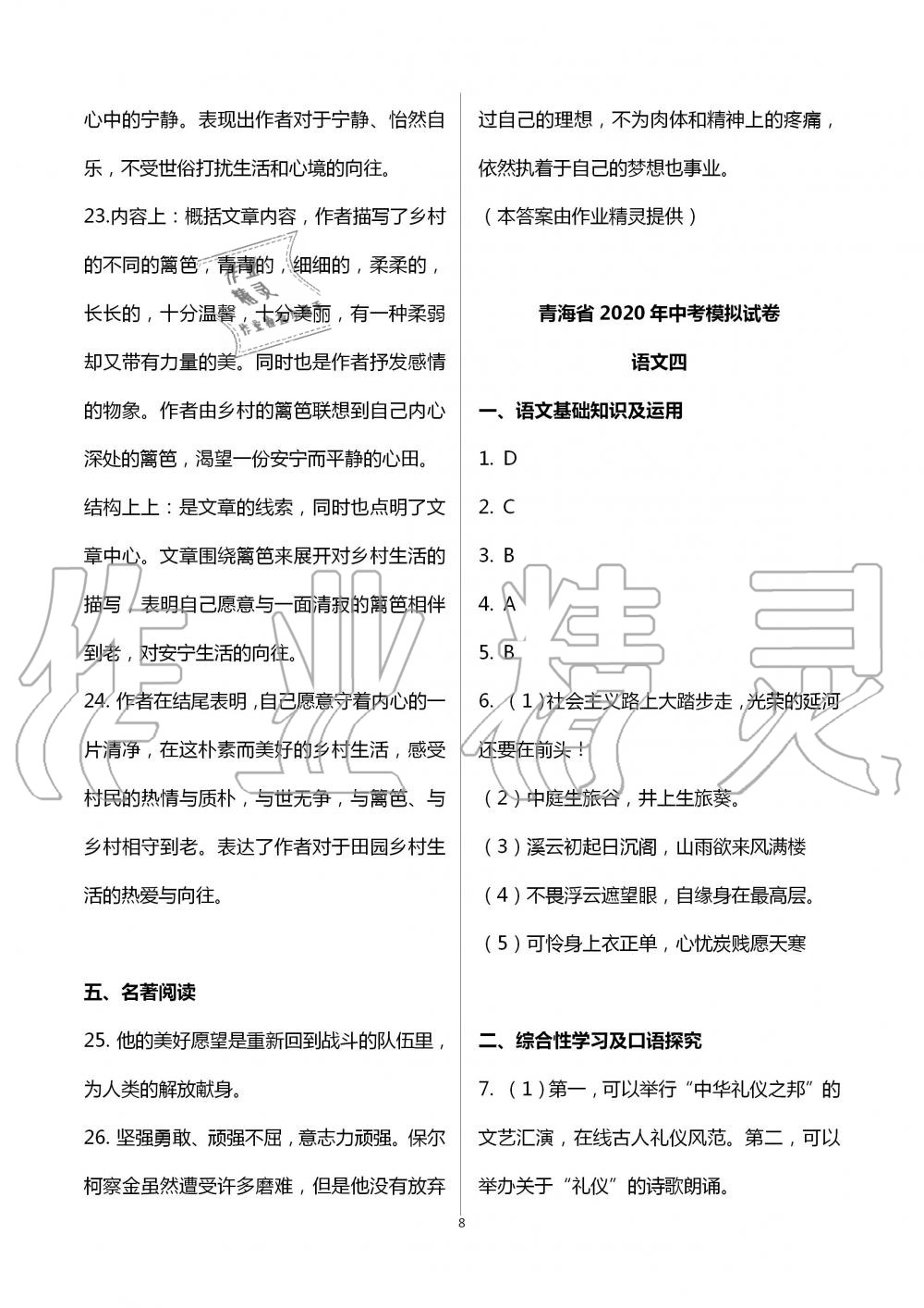 2020年金榜名卷模擬試卷語文青海專版 第8頁