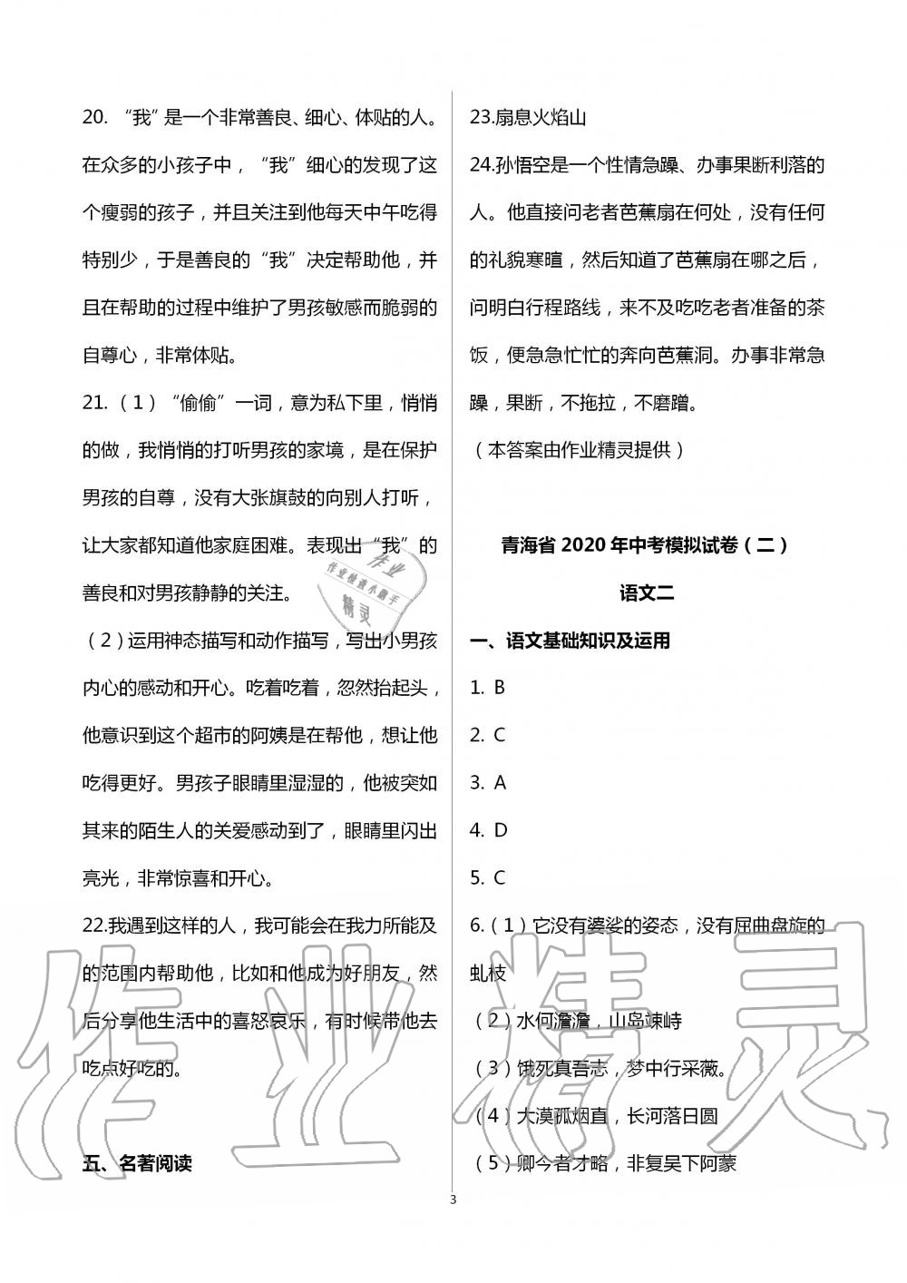 2020年金榜名卷模擬試卷語(yǔ)文青海專版 第3頁(yè)