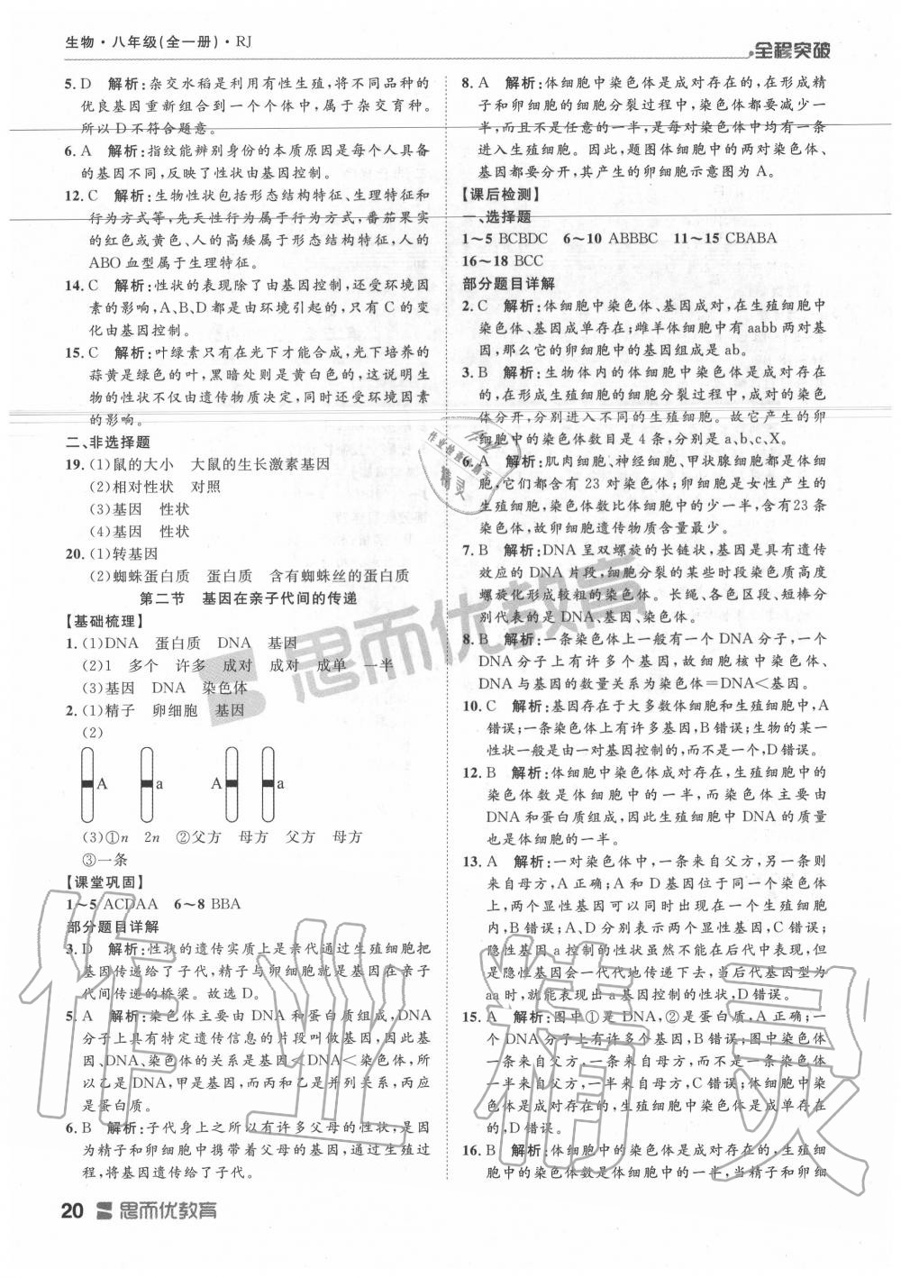 2019年全程突破八年级生物全一册人教版 第20页