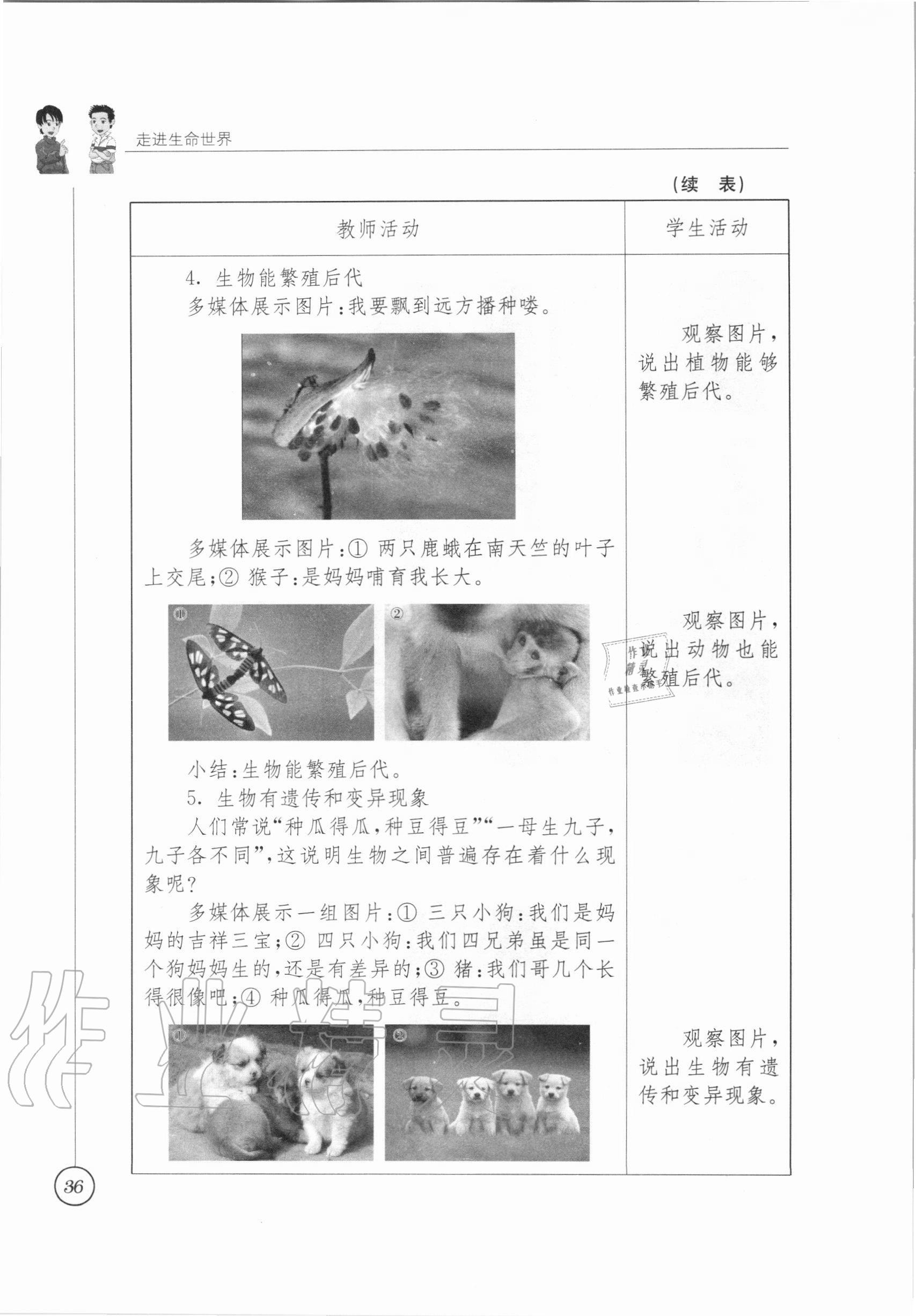 2020年教材課本七年級(jí)生物學(xué)上冊(cè)蘇科版 參考答案第31頁(yè)