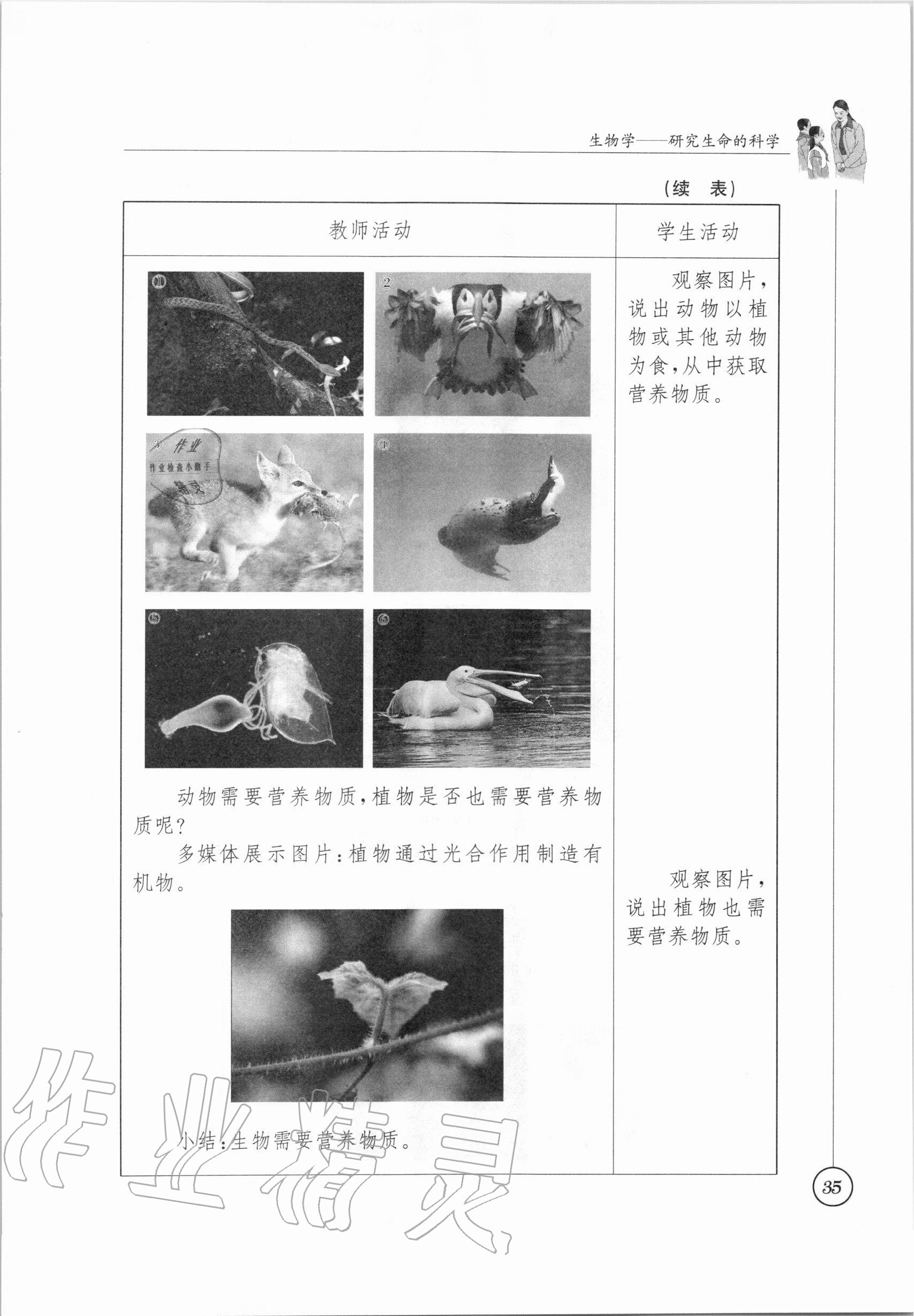 2020年教材課本七年級(jí)生物學(xué)上冊(cè)蘇科版 參考答案第30頁(yè)