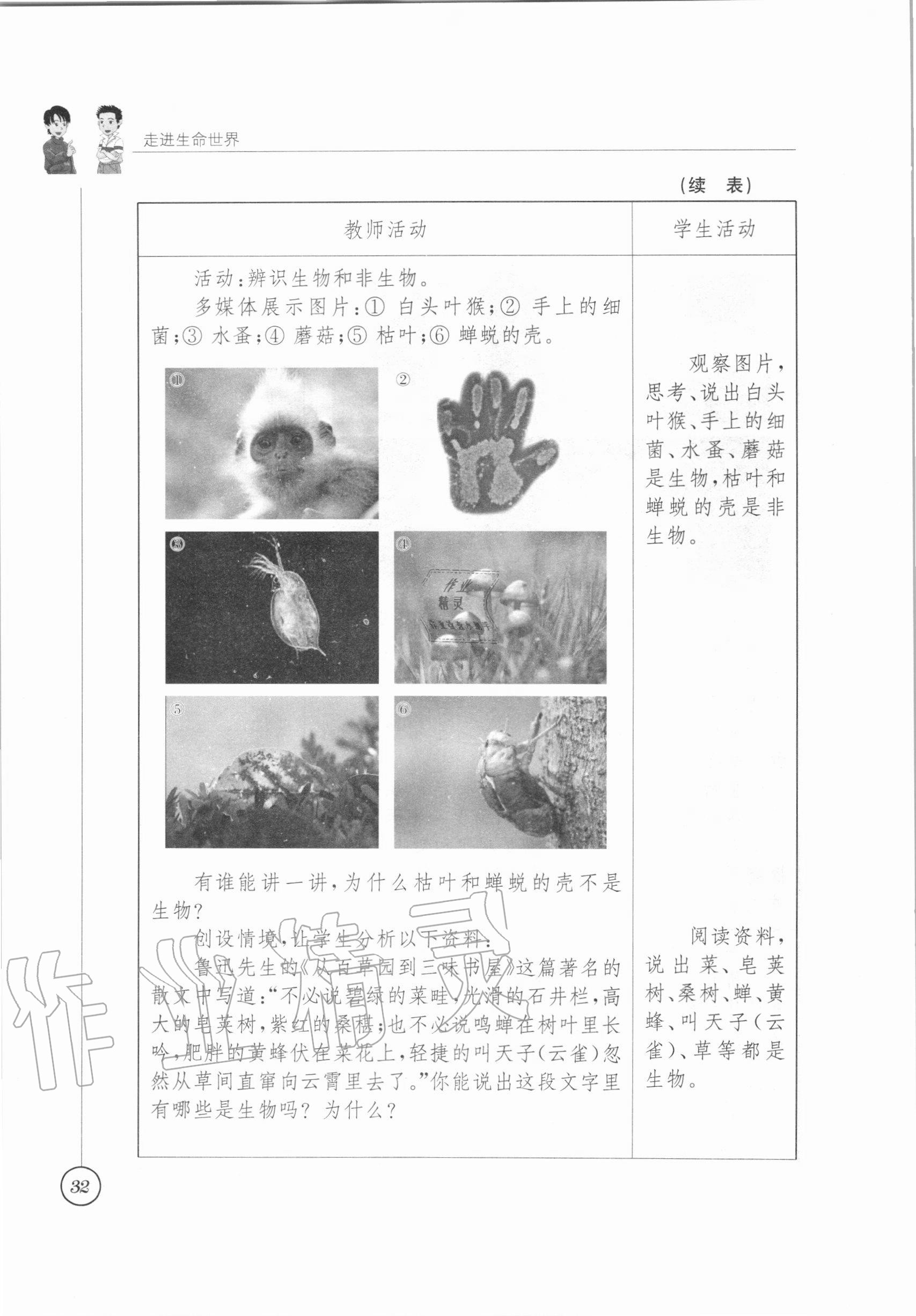 2020年教材課本七年級(jí)生物學(xué)上冊(cè)蘇科版 參考答案第27頁(yè)