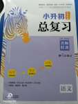 2020年小升初名師幫你總復(fù)習(xí)語文