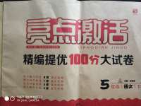 2020年亮點激活精編提優(yōu)100分大試卷五年級語文下冊人教版