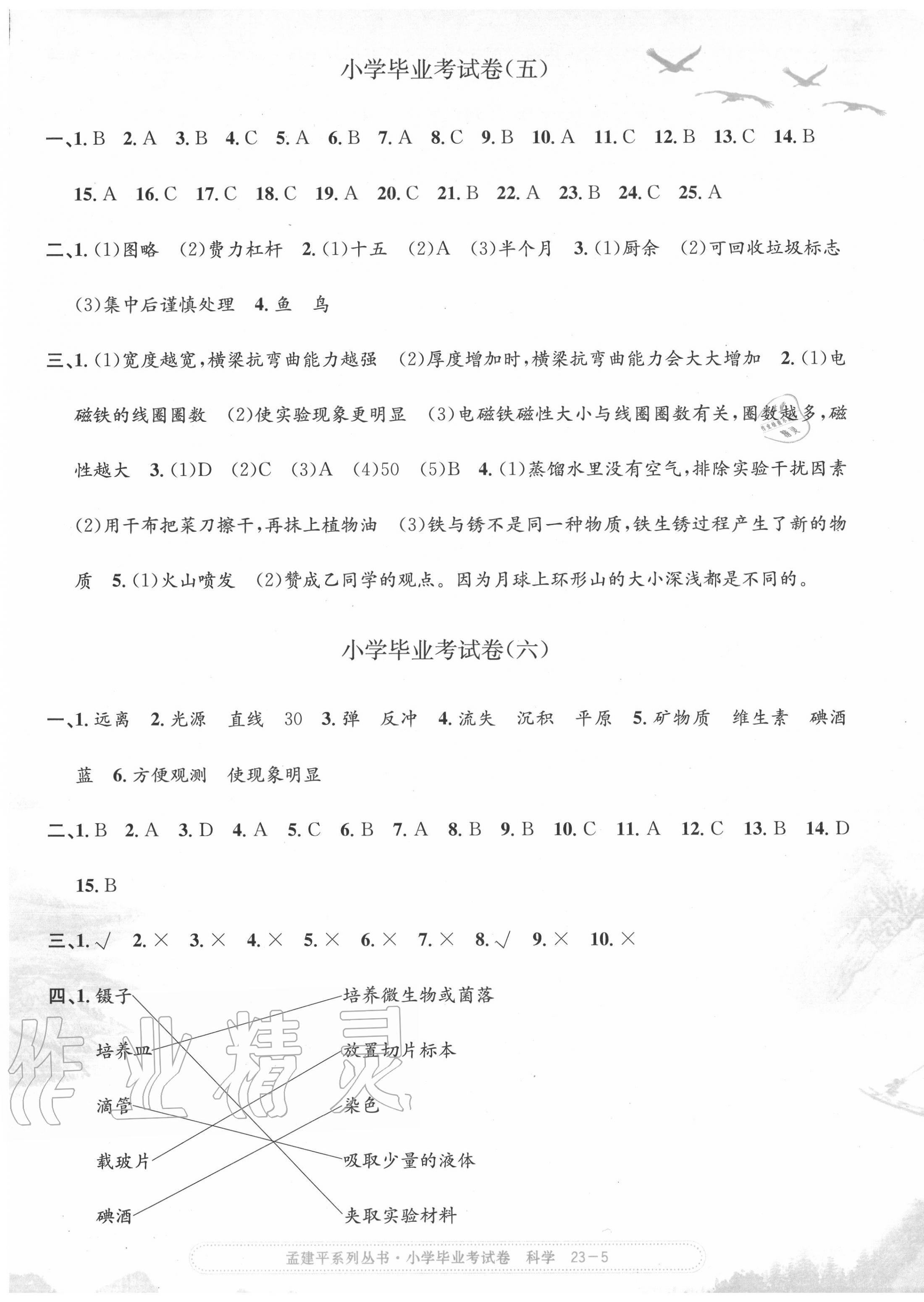 2020年孟建平小學(xué)科學(xué)畢業(yè)考試卷 第5頁