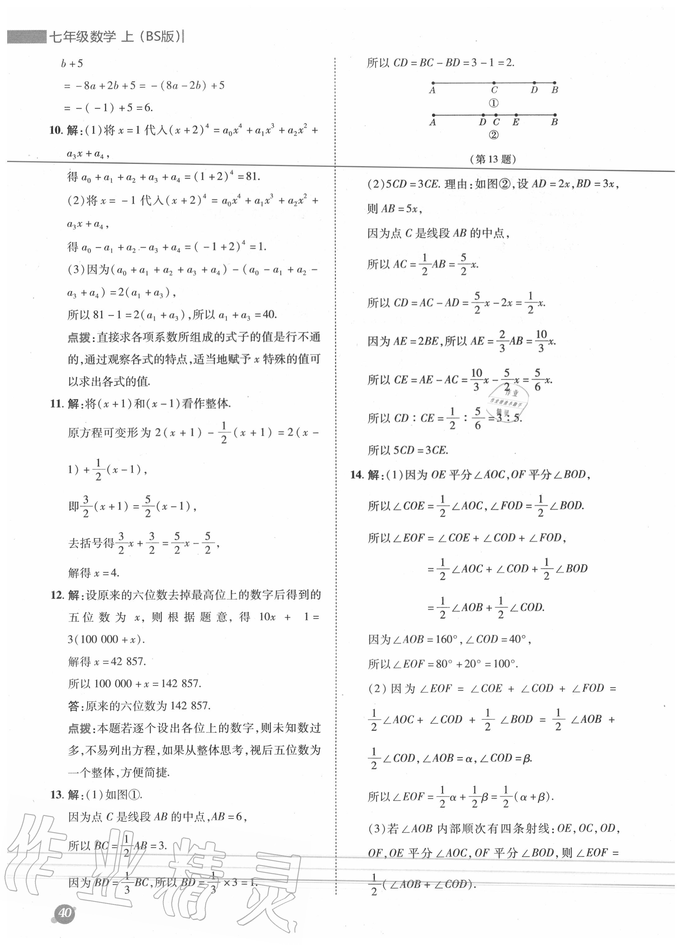 2020年綜合應(yīng)用創(chuàng)新題典中點七年級數(shù)學(xué)上冊北師大版 參考答案第13頁