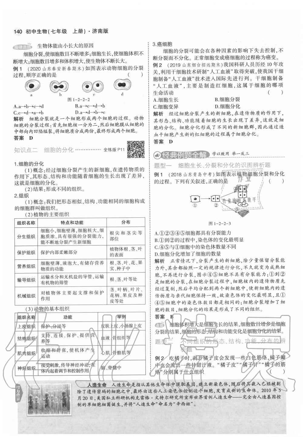 2020年教材课本七年级生物上册济南版&nbsp;第16页