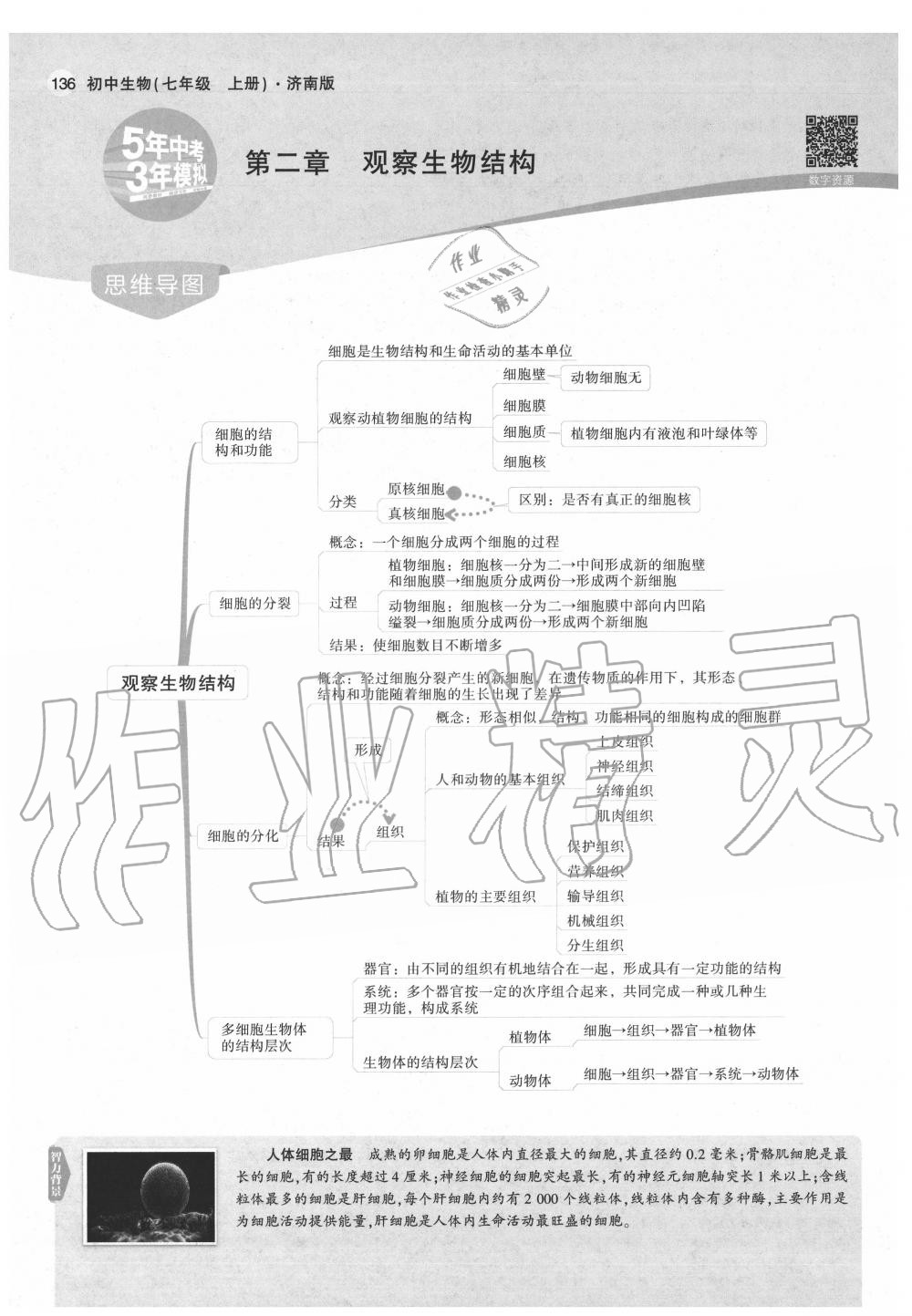 2020年教材课本七年级生物上册济南版&nbsp;第12页