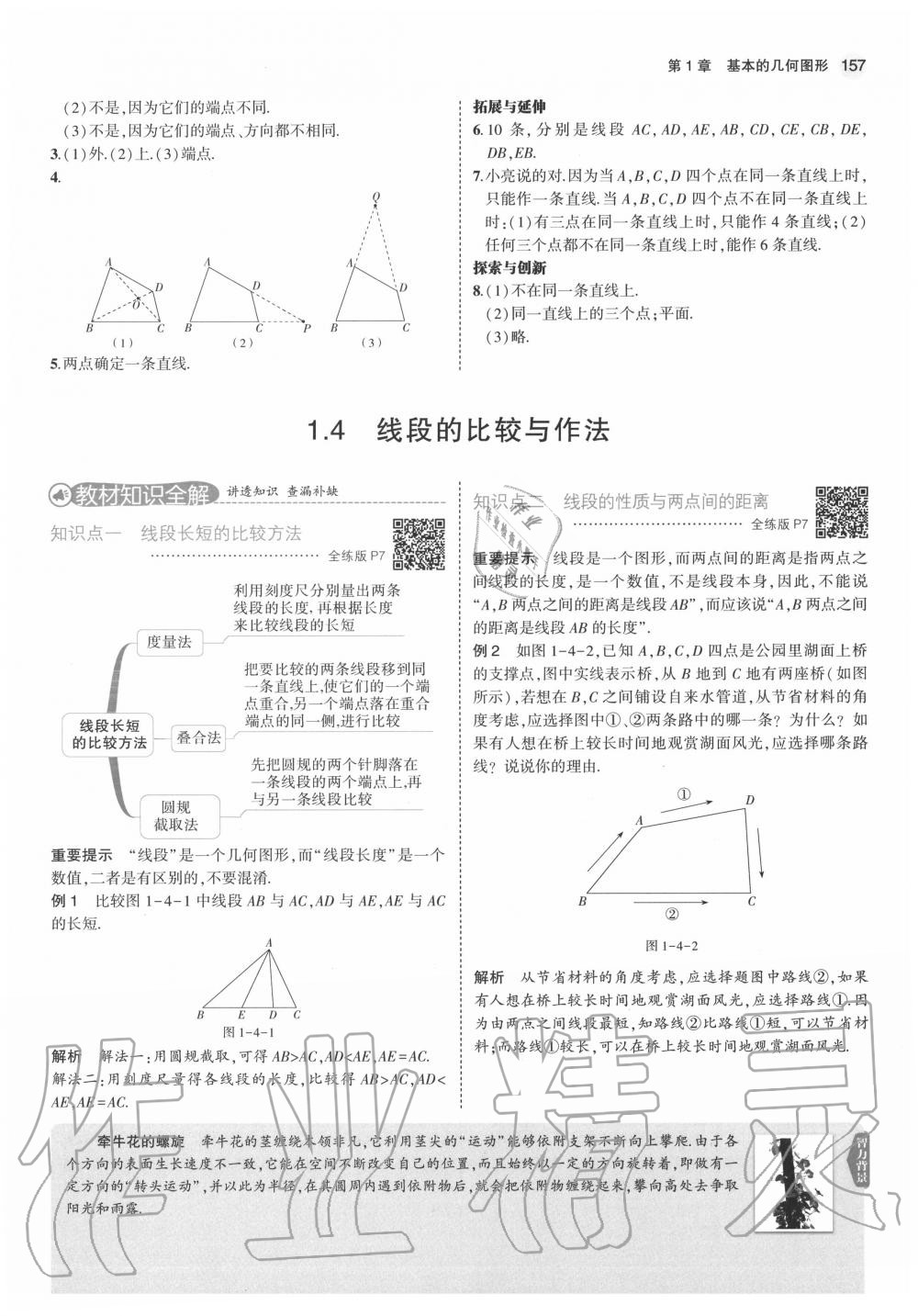 2020年教材課本七年級(jí)數(shù)學(xué)上冊(cè)青島版 第9頁(yè)