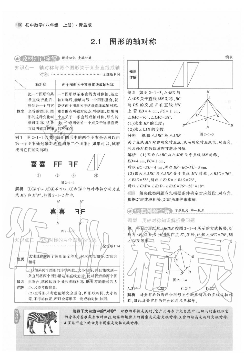 2020年教材课本八年级数学上册青岛版 第12页