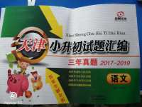2020年天津小升初試題匯編語文