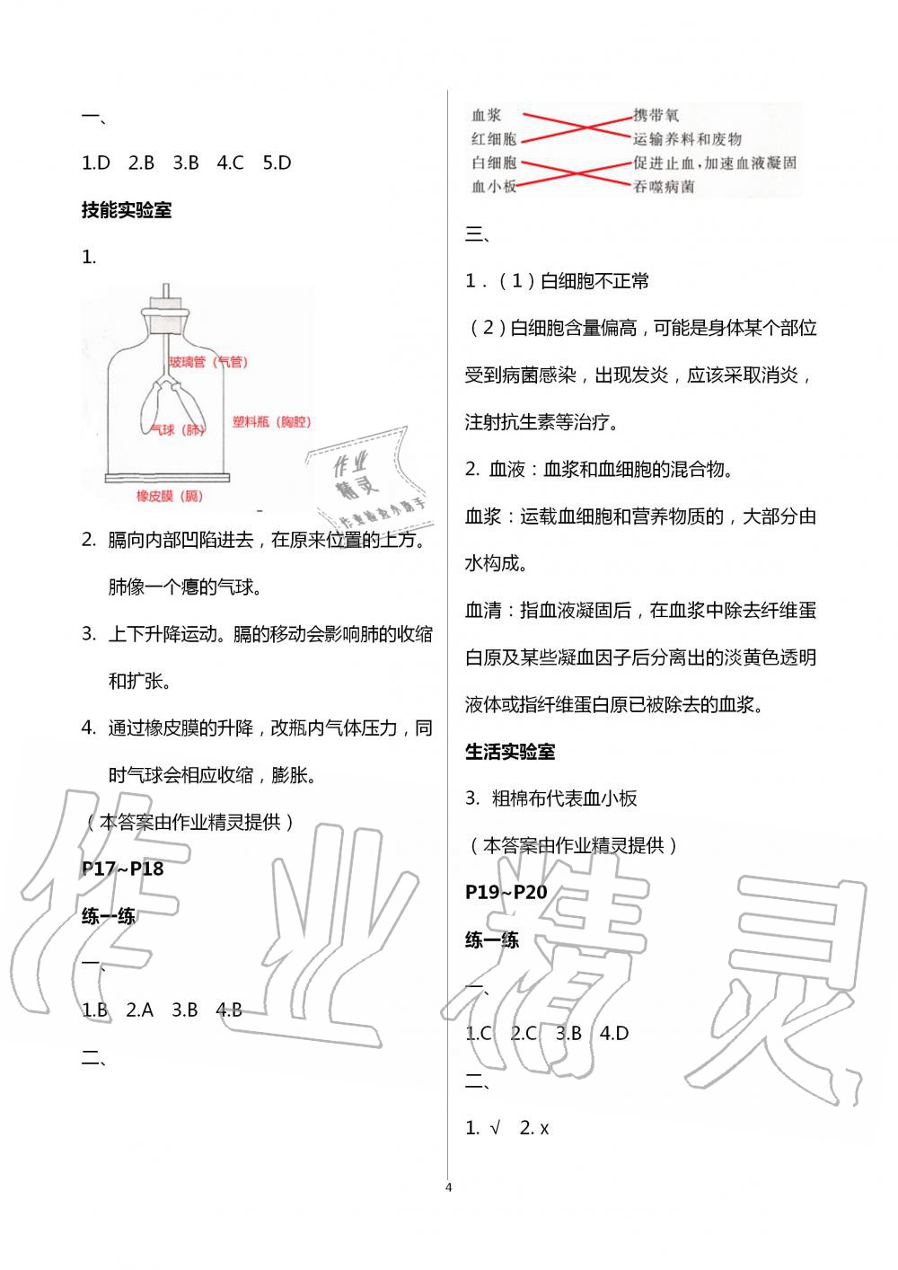 2020年暑假生活七年级生物人教版北京教育出版社 第4页