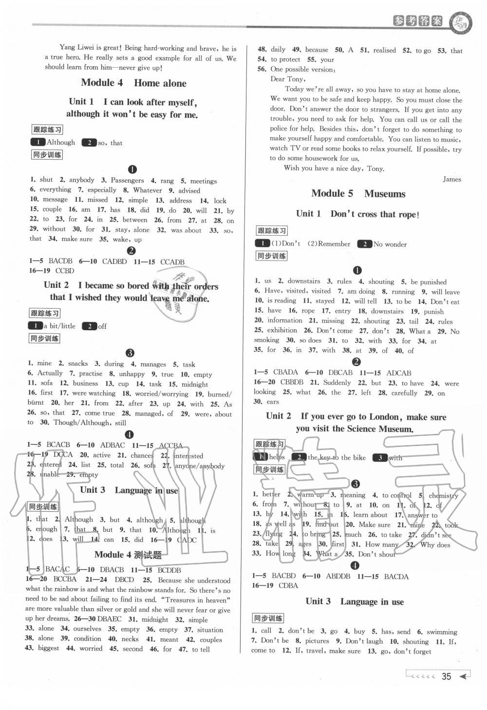 2020年教與學(xué)課程同步講練九年級(jí)英語全一冊(cè)外研版 第3頁