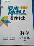 2020年鴻鵠志文化期末沖刺王暑假作業(yè)七年級數學人教版