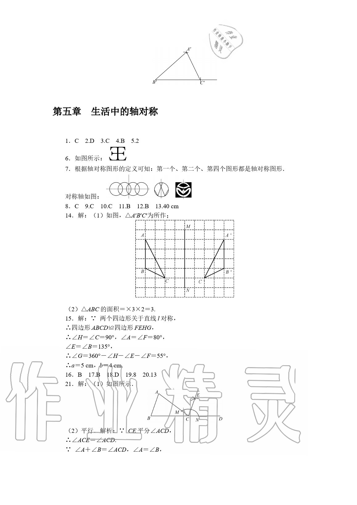 2020年春如金卷数学暑假作业本七年级 参考答案第6页