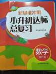 2020年新思維沖刺小升初達(dá)標(biāo)總復(fù)習(xí)數(shù)學(xué)提升版