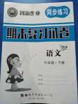 2020年同步練習(xí)創(chuàng)新作業(yè)期末復(fù)習(xí)試卷六年級(jí)語文下冊人教版