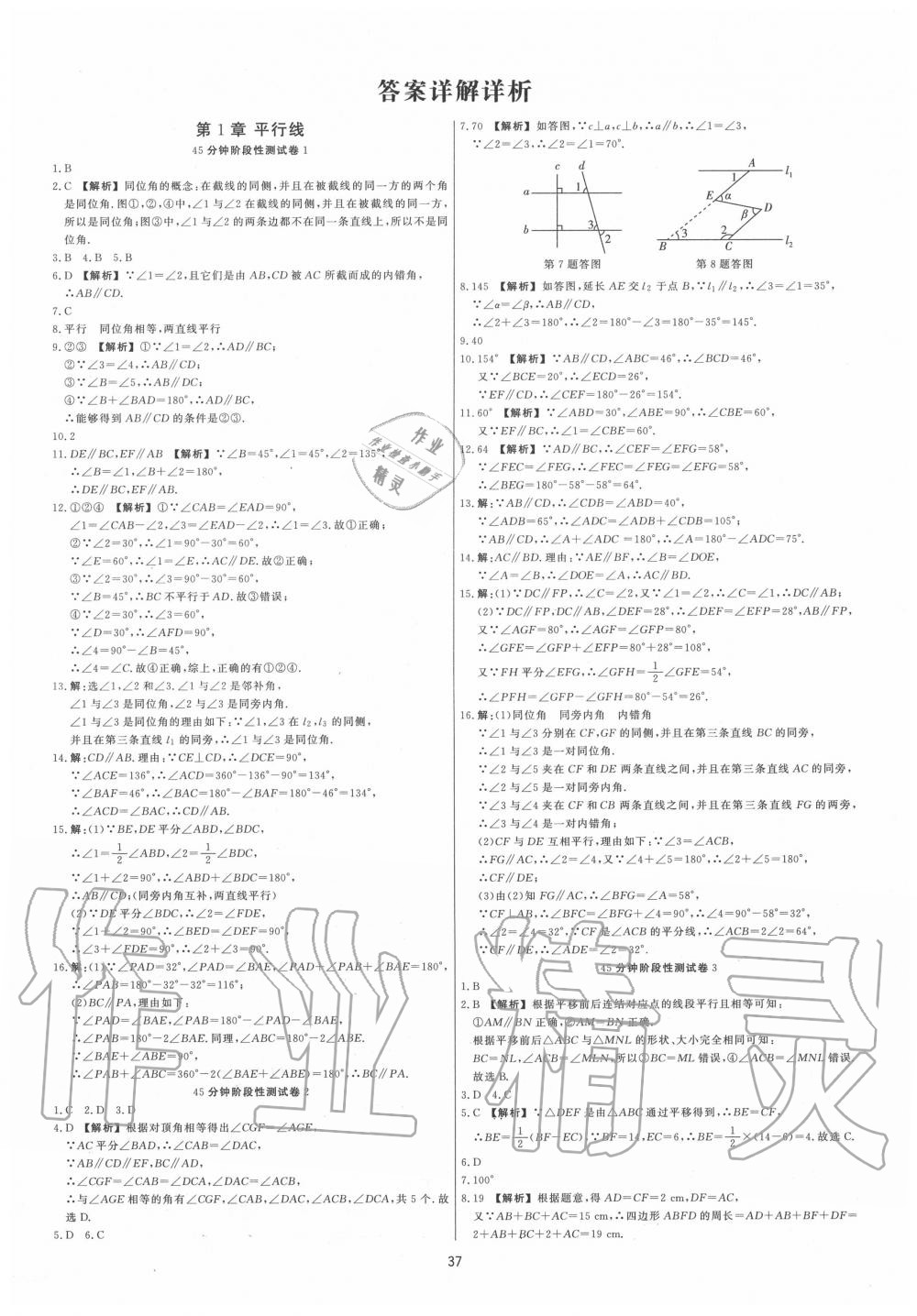 2020年全效學(xué)習(xí)全效大考卷七年級(jí)數(shù)學(xué)下冊(cè)浙教版精華版 第1頁(yè)